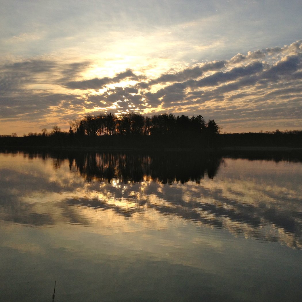 Sunnyside Conservancy 4